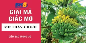 Mơ thấy Buồng chuối đánh con gì