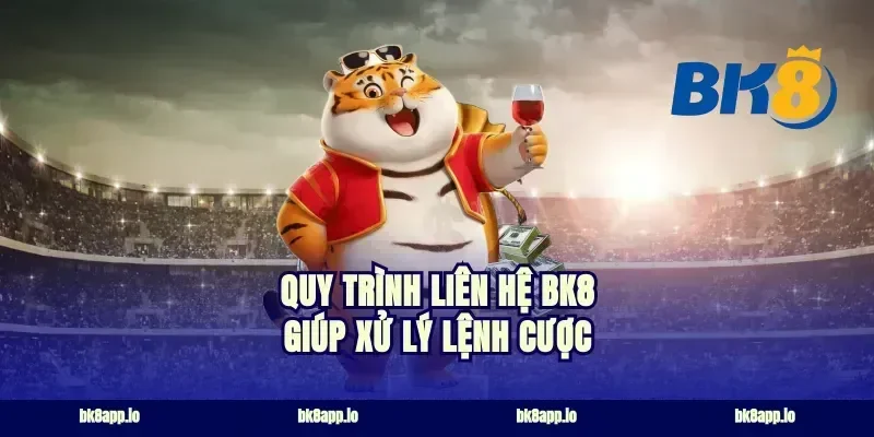 Quy trình liên hệ bk8 giúp xử lý lệnh cược